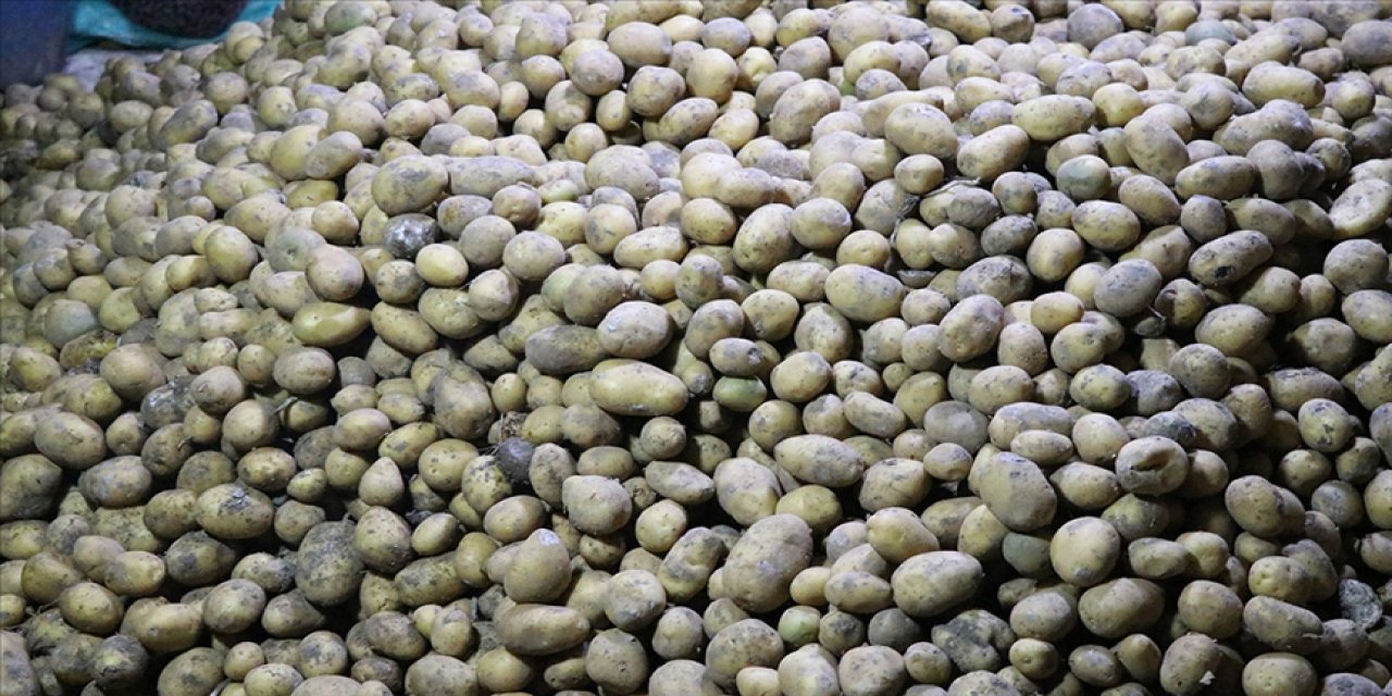 Mayısta fiyatı en fazla artan ve en fazla düşen ürünler belli oldu