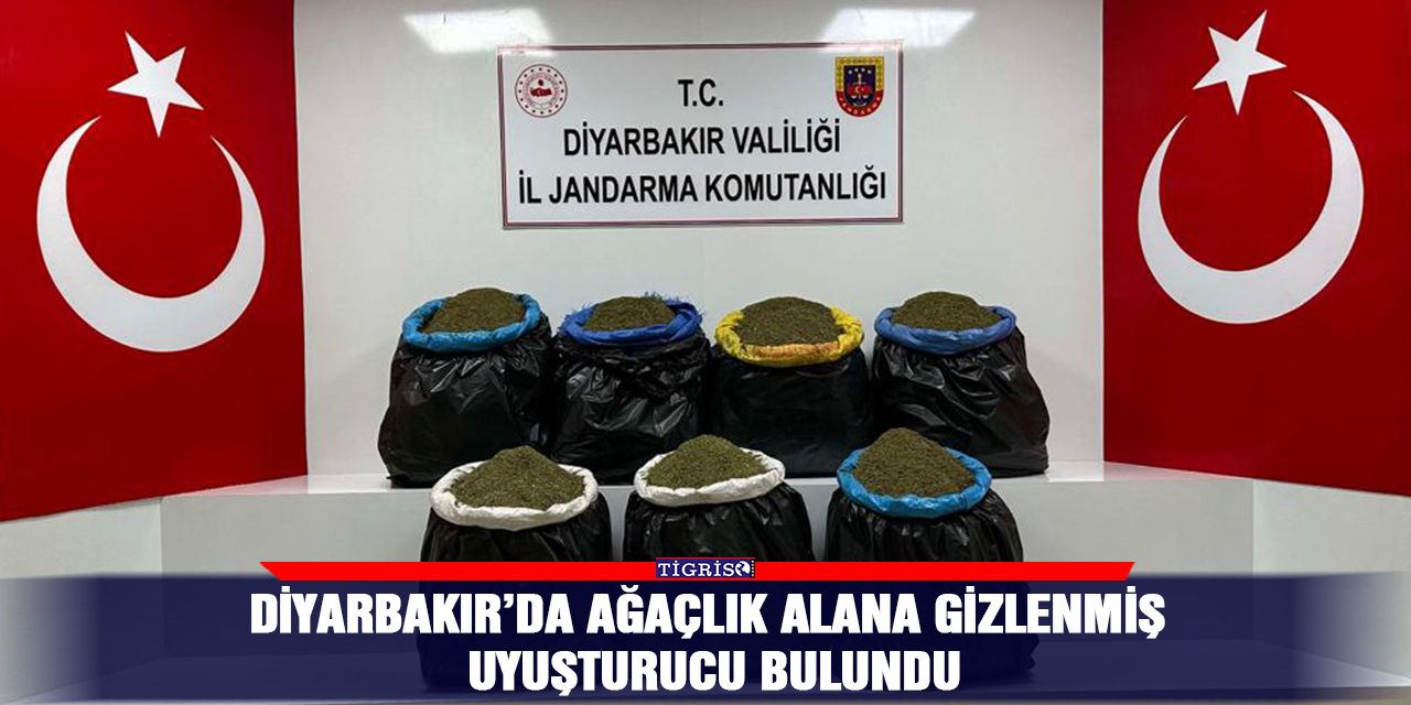 Diyarbakır’da ağaçlık alana gizlenmiş uyuşturucu bulundu