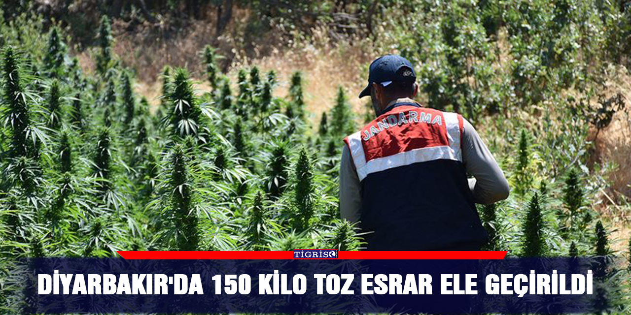 Diyarbakır'da 150 kilo toz esrar ele geçirildi