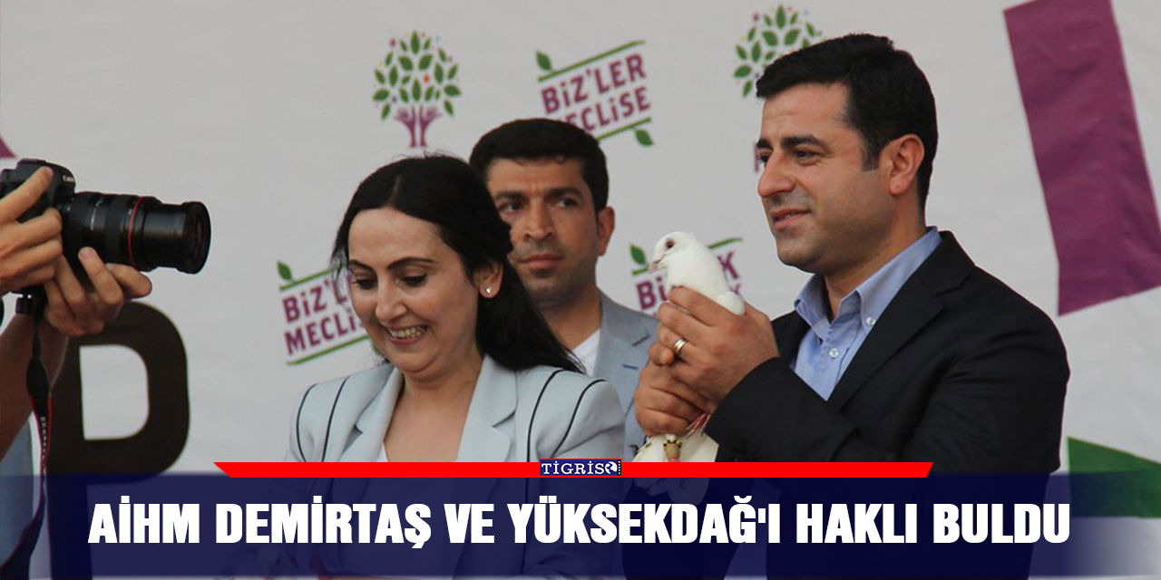 AİHM Demirtaş ve Yüksekdağ'ı haklı buldu