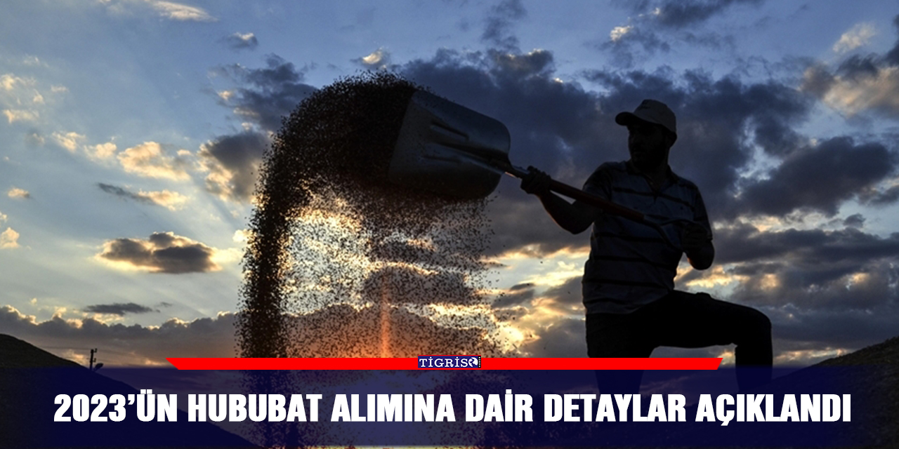 2023’ün hububat alımına dair detaylar açıklandı