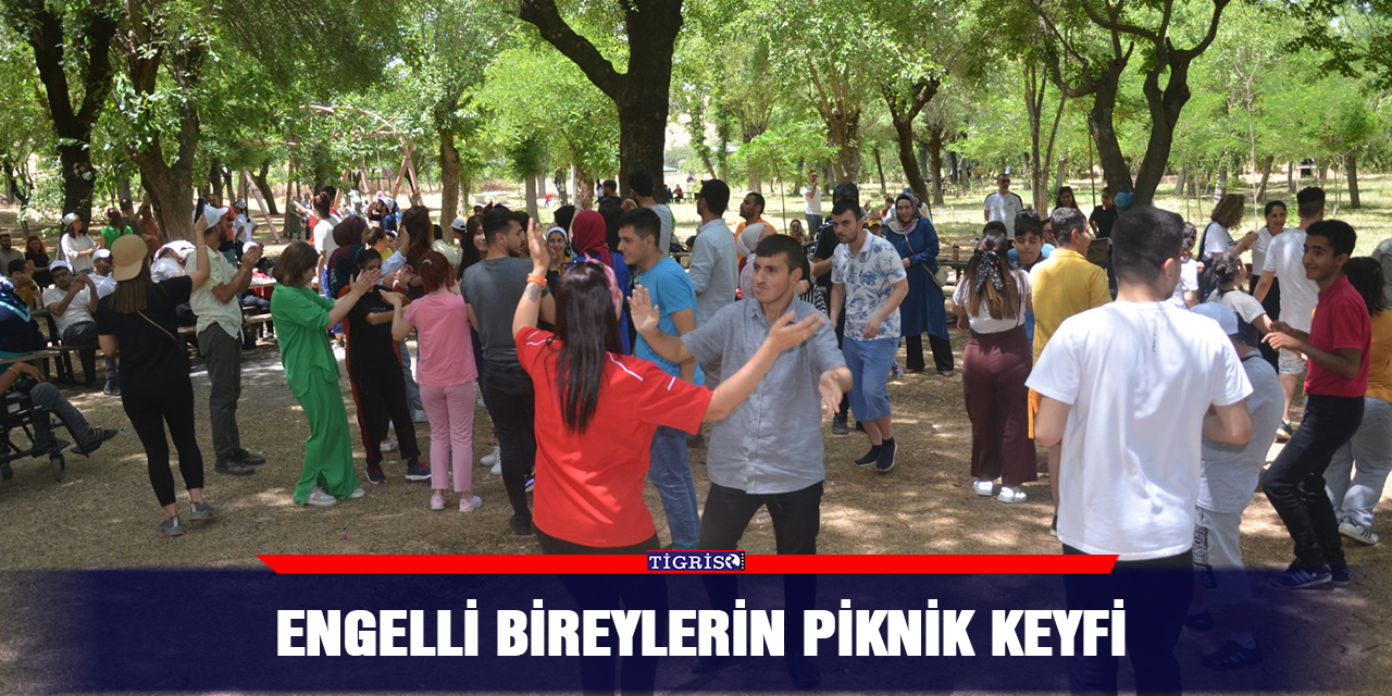Engelli bireylerin piknik keyfi