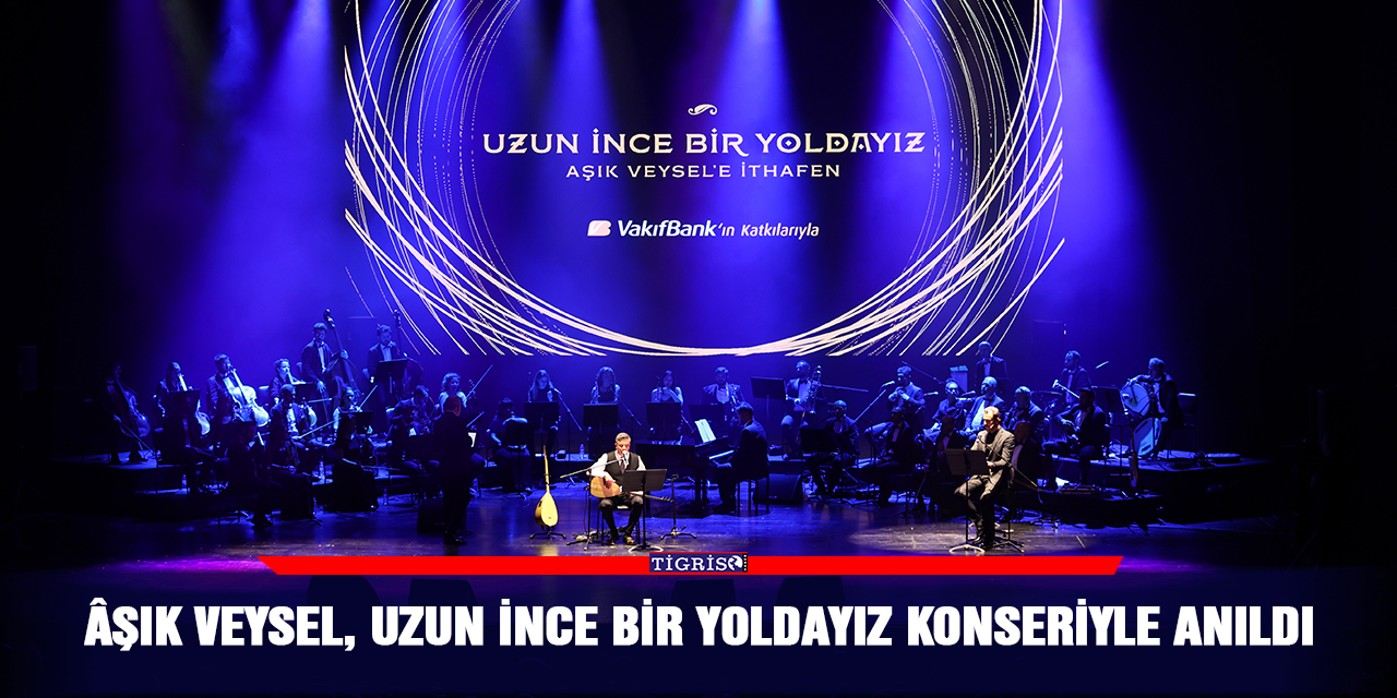 Âşık Veysel, Uzun İnce Bir Yoldayız konseriyle anıldı