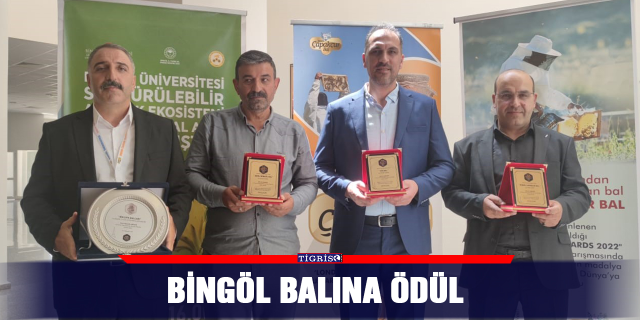 Bingöl balına ödül