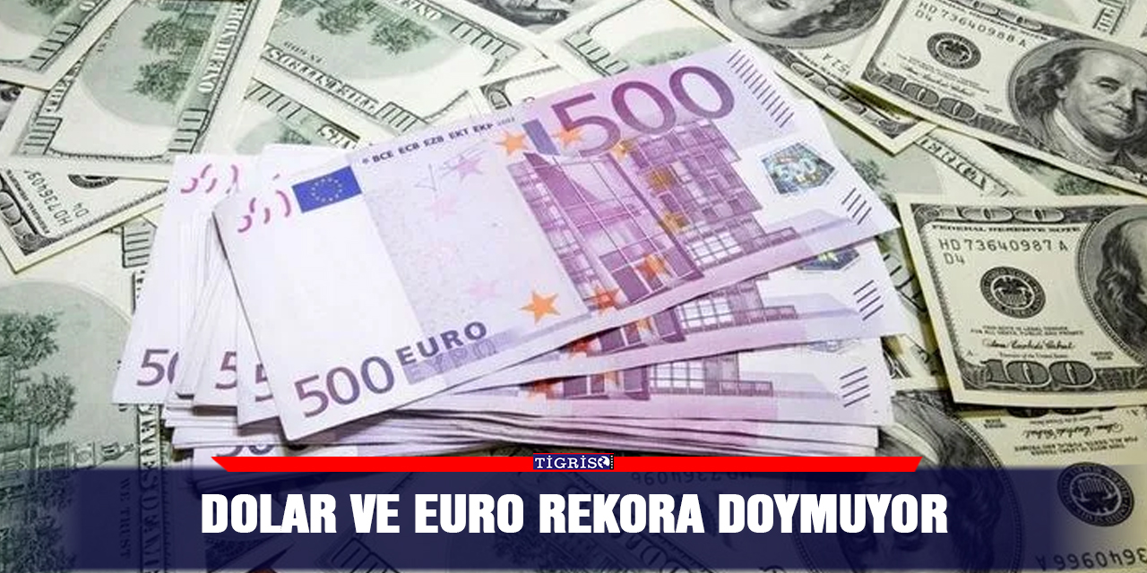Dolar ve Euro rekora doymuyor