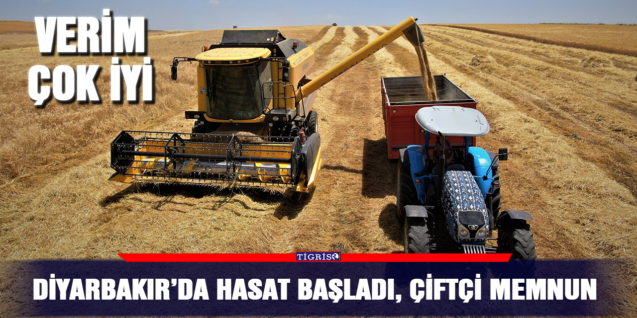 Diyarbakır’da hasat başladı, çiftçi memnun