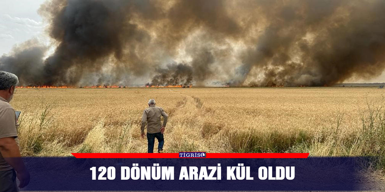 120 dönüm arazi kül oldu