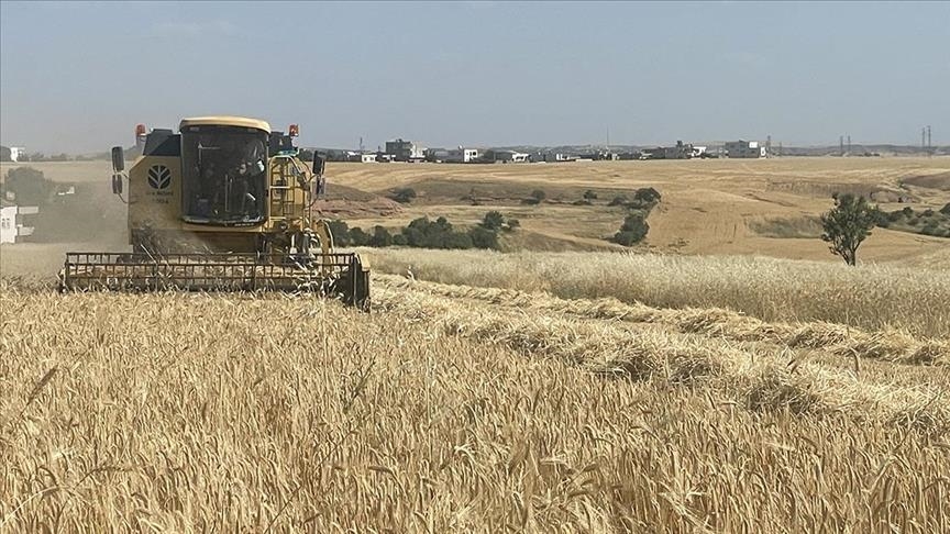 TMO, 530 noktadan hububat alımı yapacak