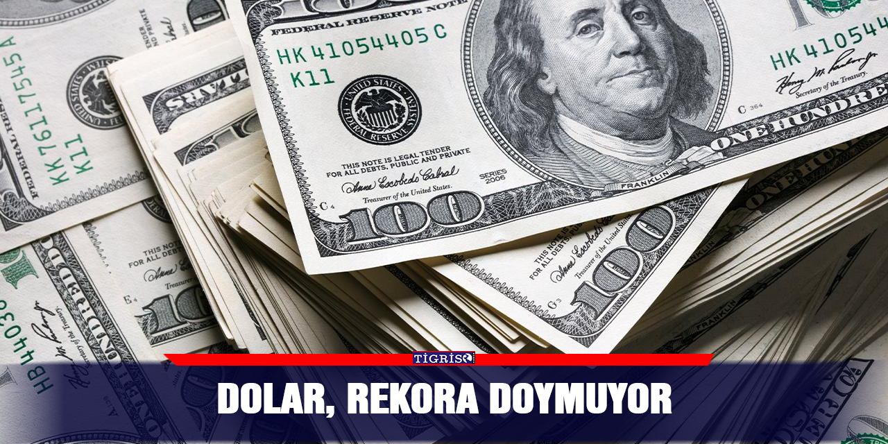 Dolar, rekora doymuyor