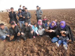 GAP çiftçisine gece eğitimi