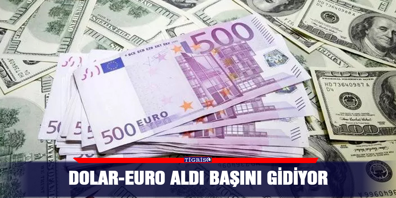 Dolar-Euro aldı başını gidiyor