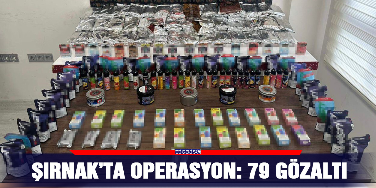 Şırnak’ta operasyon: 79 gözaltı