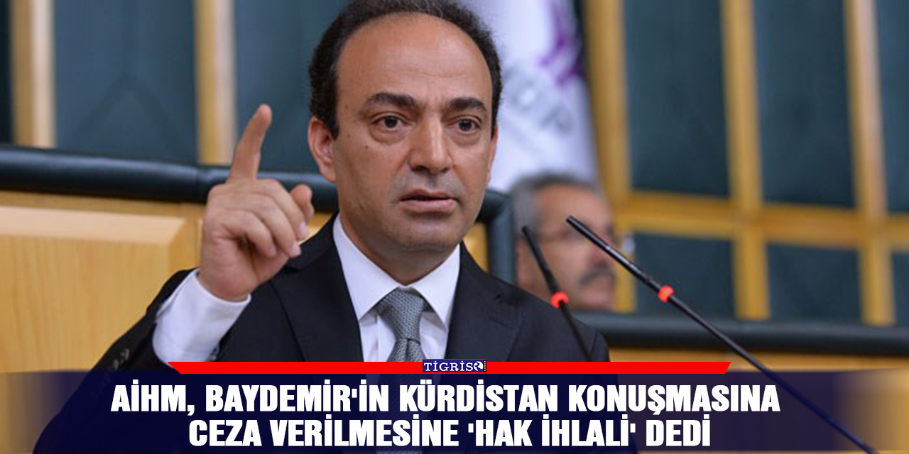AİHM, Baydemir'in Kürdistan konuşmasına ceza verilmesine 'hak ihlali' dedi