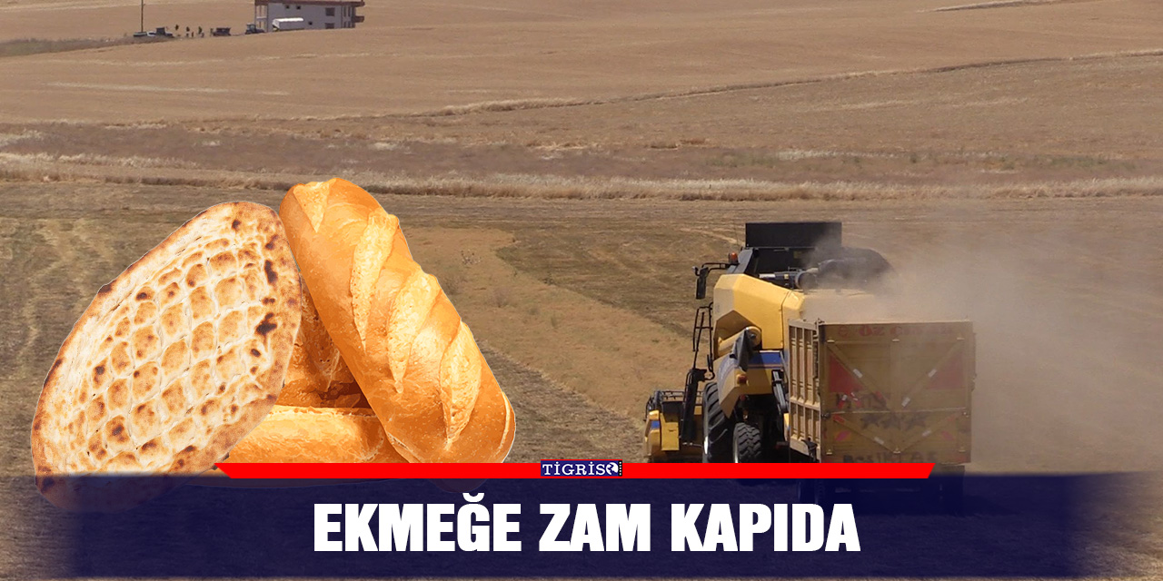 Ekmeğe Zam Kapıda