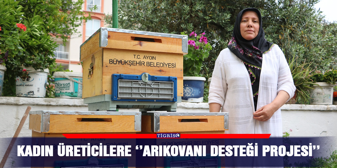 VİDEO - Kadın üreticilere ‘’Arıkovanı desteği projesi’’