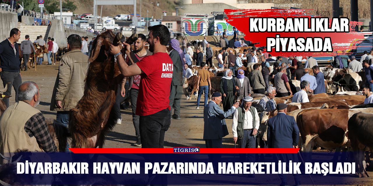 Diyarbakır hayvan pazarında hareketlilik başladı