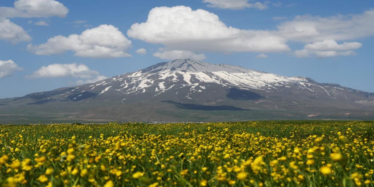 Sütey Yaylası ve Süphan Dağı bahar çiçekleriyle renklendi