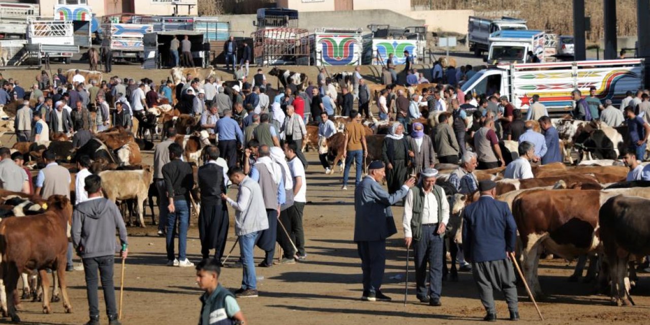 Üreticilerin satamadığı hayvanları Et ve Süt Kurumu alacak