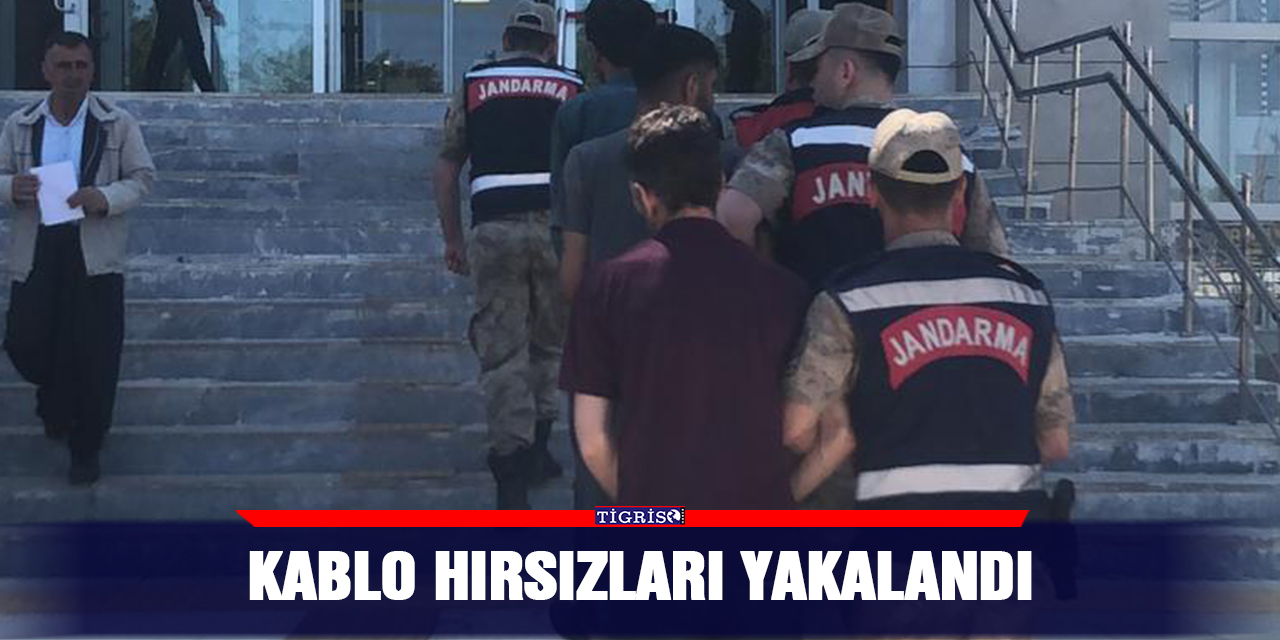 Kablo hırsızları yakalandı