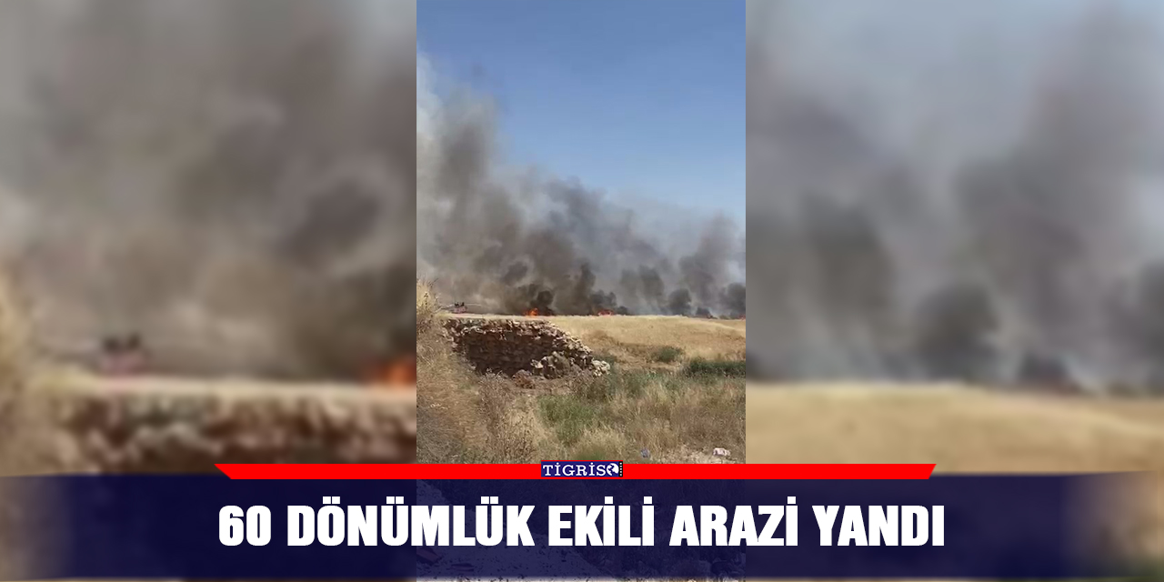 VİDEO -  60 dönümlük ekili arazi yandı