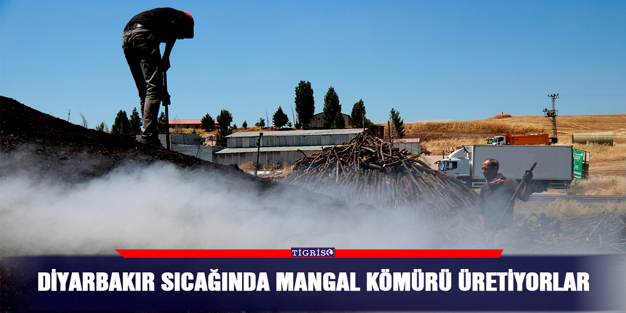 Diyarbakır sıcağında mangal kömürü üretiyorlar