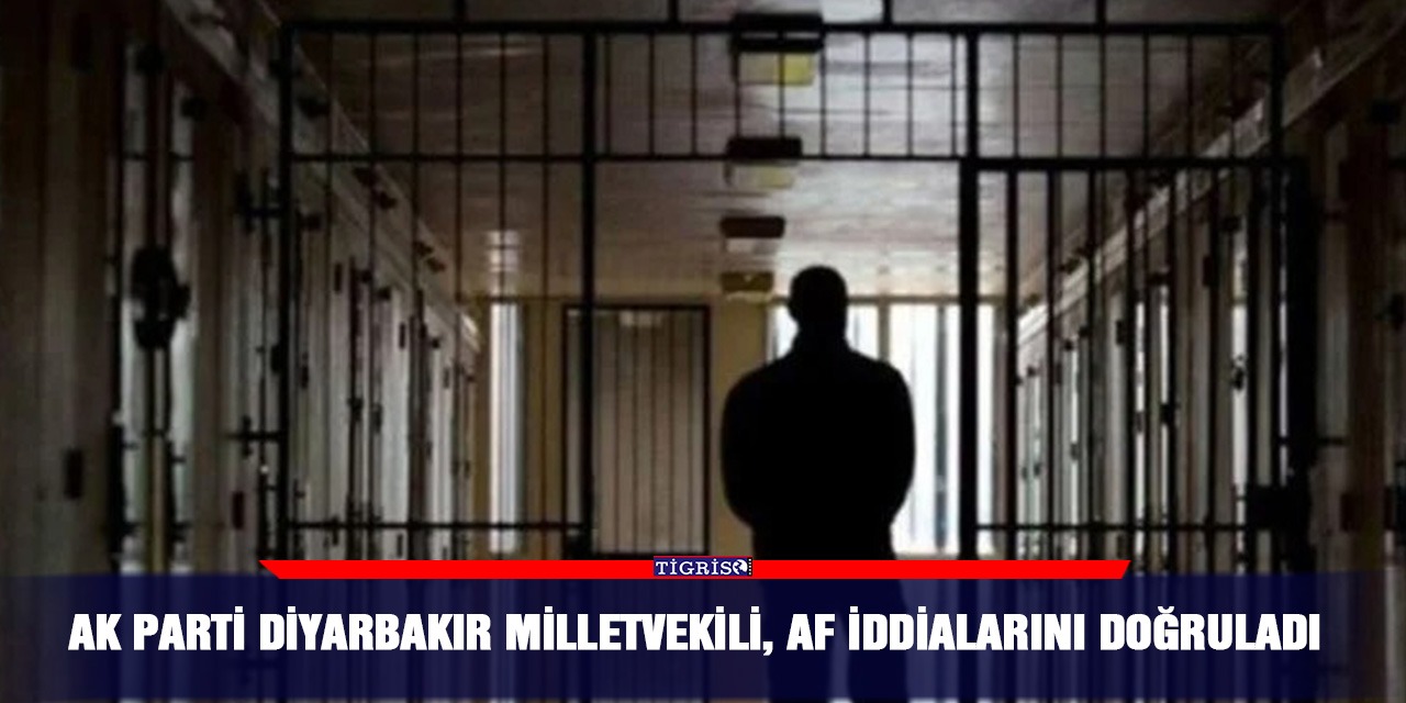 AK Parti Diyarbakır Milletvekili, af iddialarını doğruladı