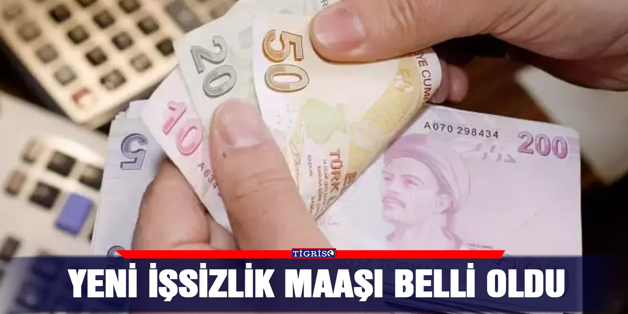 Yeni işsizlik maaşı belli oldu