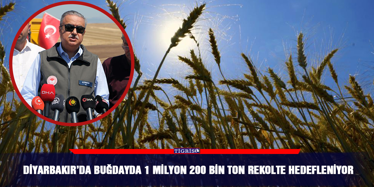 Diyarbakır’da buğdayda 1 milyon 200 bin ton rekolte hedefleniyor