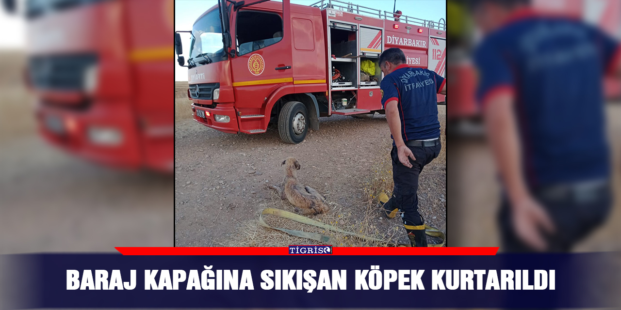 VİDEO - Baraj kapağına sıkışan köpek kurtarıldı