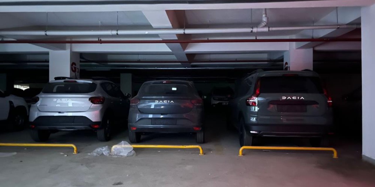 Otoparktaki araçlar rent a car ait