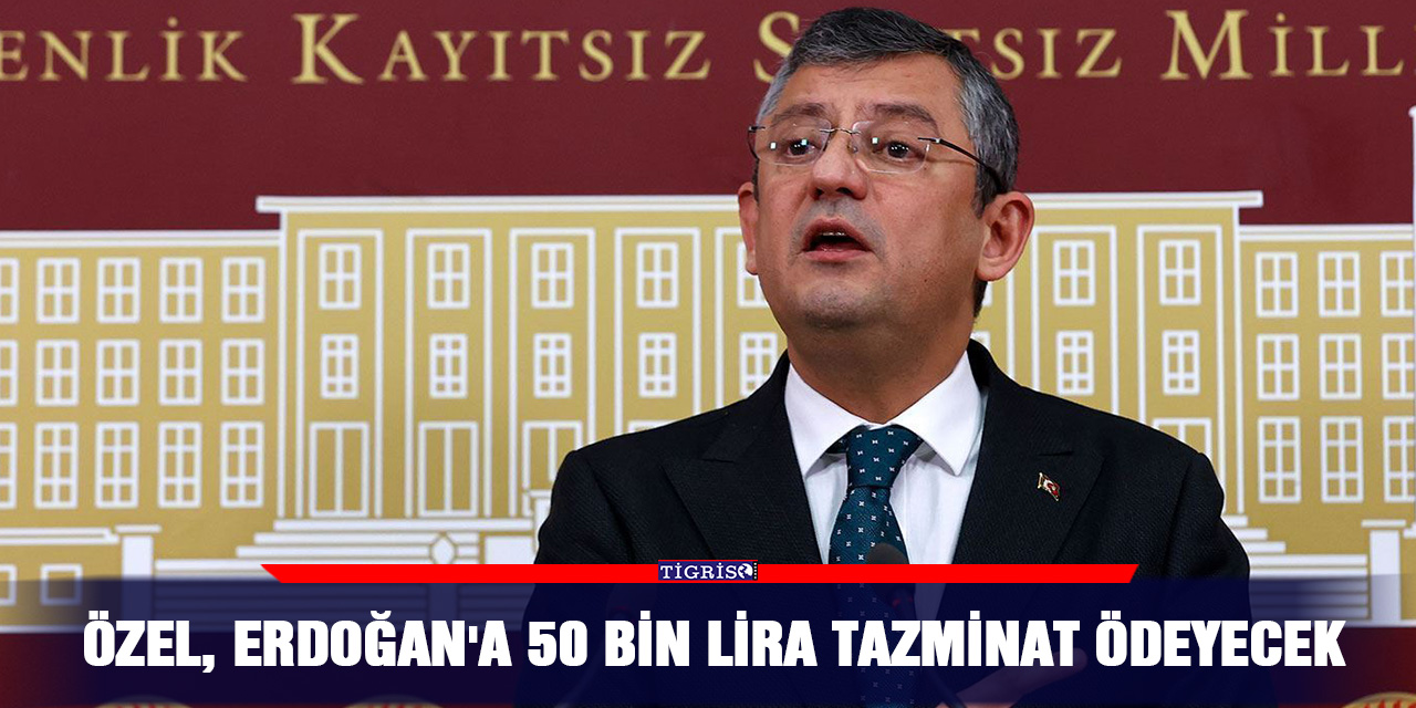 Özel, Erdoğan'a 50 bin lira tazminat ödeyecek