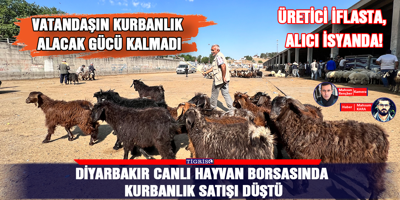 VİDEO - Diyarbakır Canlı Hayvan Borsasında kurbanlık satışı düştü