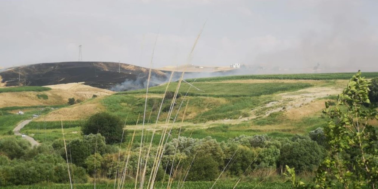 Batman’da 400 dönüm buğday küle döndü
