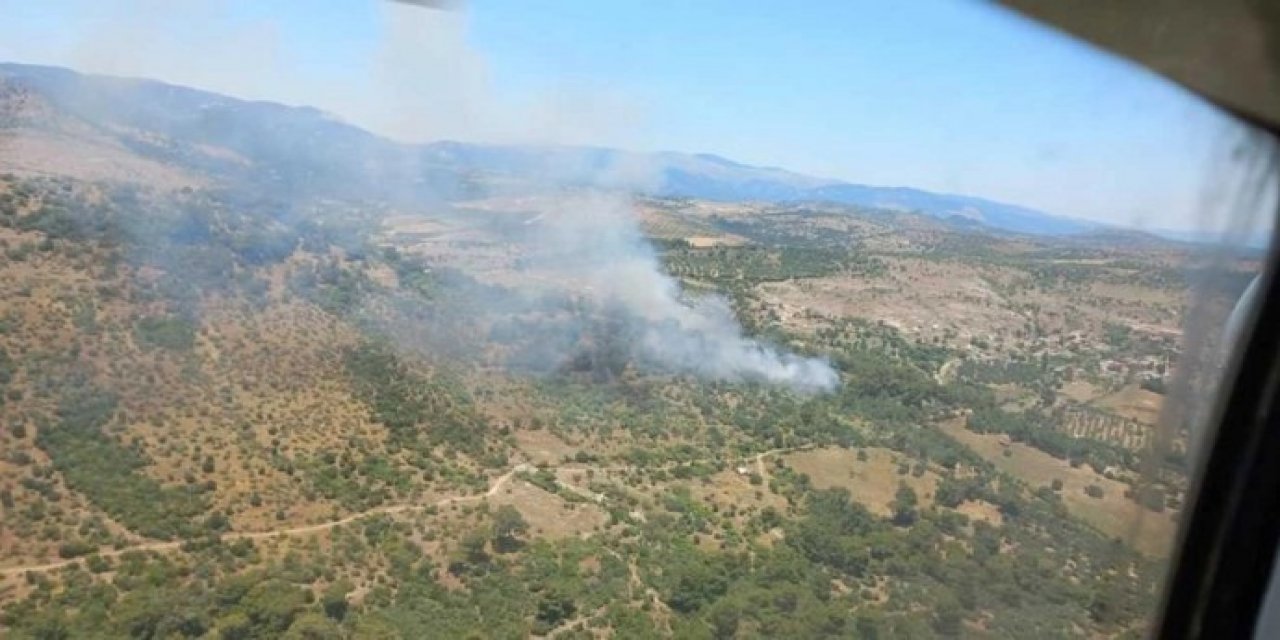 Bergama’da orman yangını