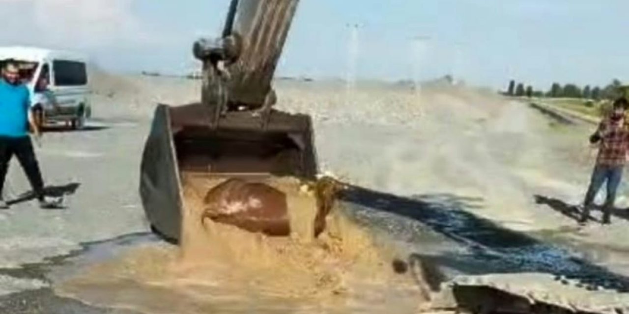Kanala düşen boğa kepçeyle kurtarıldı