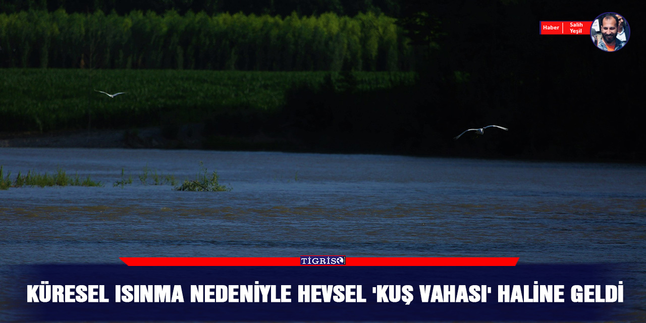 Küresel ısınma nedeniyle Hevsel 'kuş vahası' haline geldi