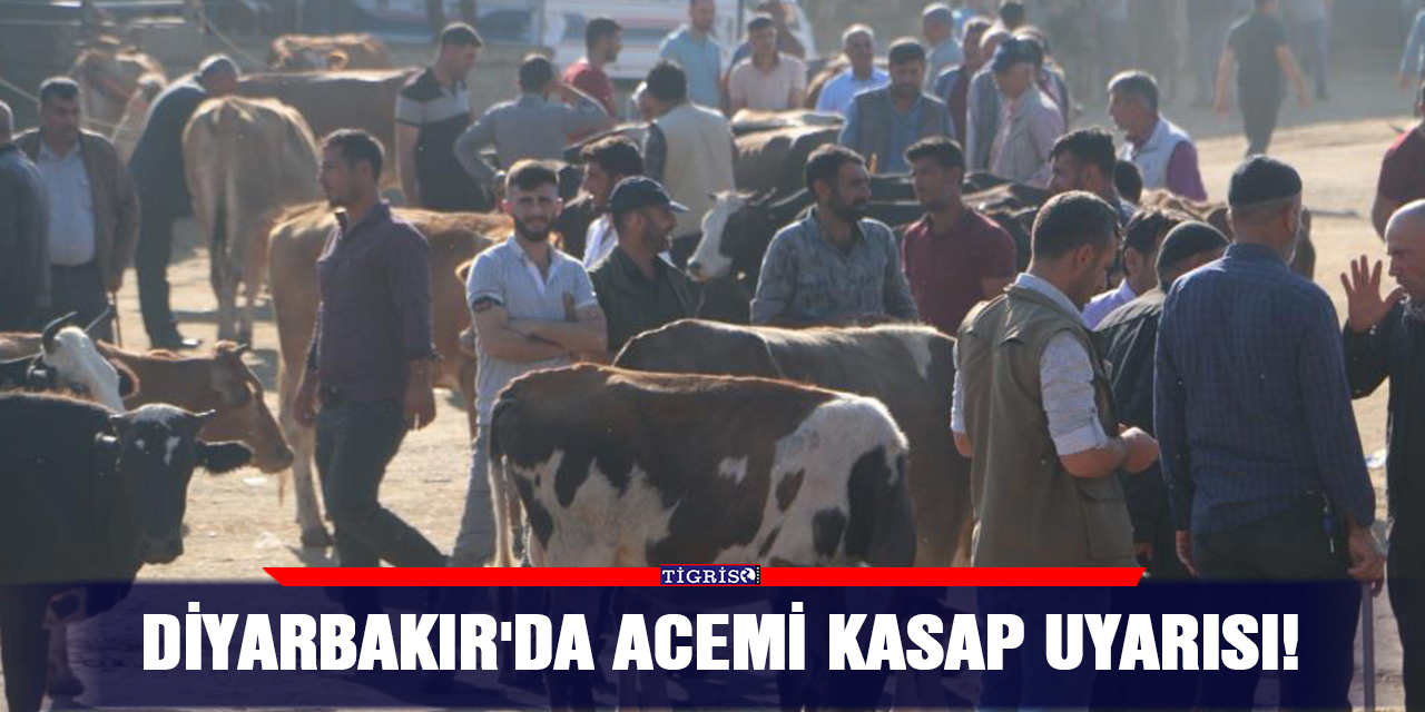 VİDEO - Diyarbakır'da acemi kasap uyarısı!