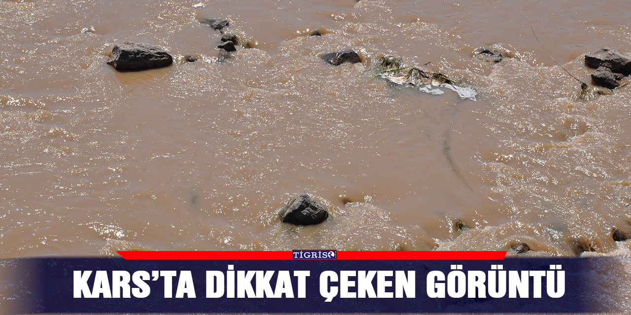 Kars’ta dikkat çeken görüntü