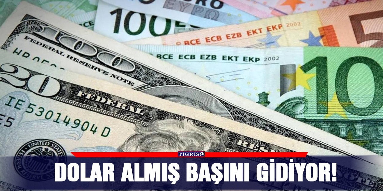 Dolar almış başını gidiyor!