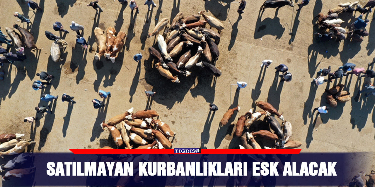 Satılmayan kurbanlıkları ESK alacak