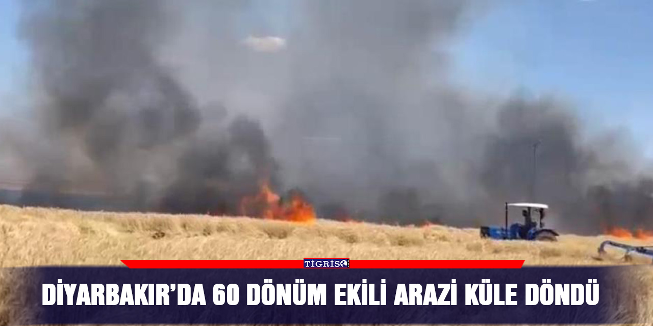 Diyarbakır’da 60 dönüm ekili arazi küle döndü