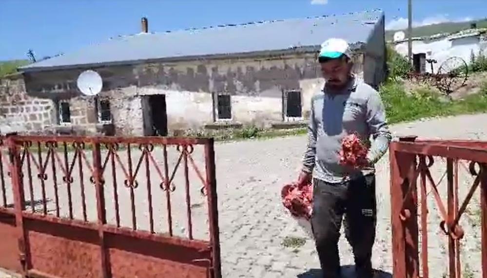 Ardahan’ın kurban geleneği; eşit dağıtım