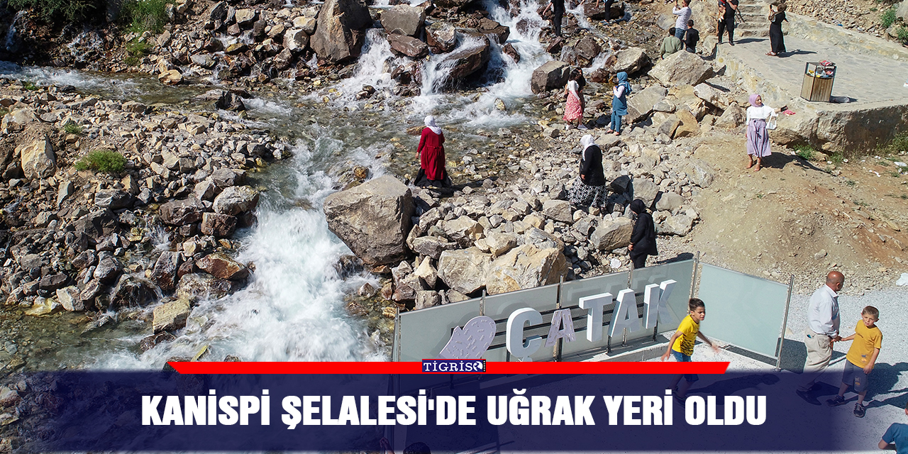 Kanispi Şelalesi'de uğrak yeri oldu