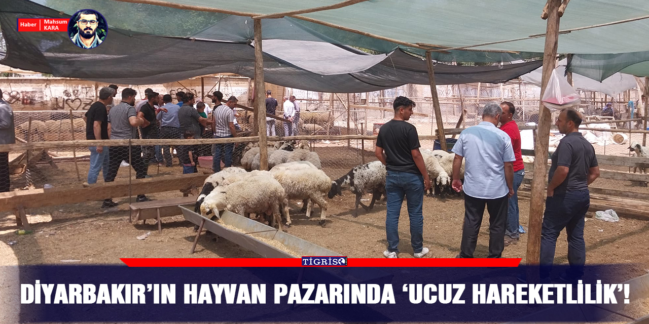 VİDEO - Diyarbakır’ın hayvan pazarında ‘ucuz hareketlilik’!