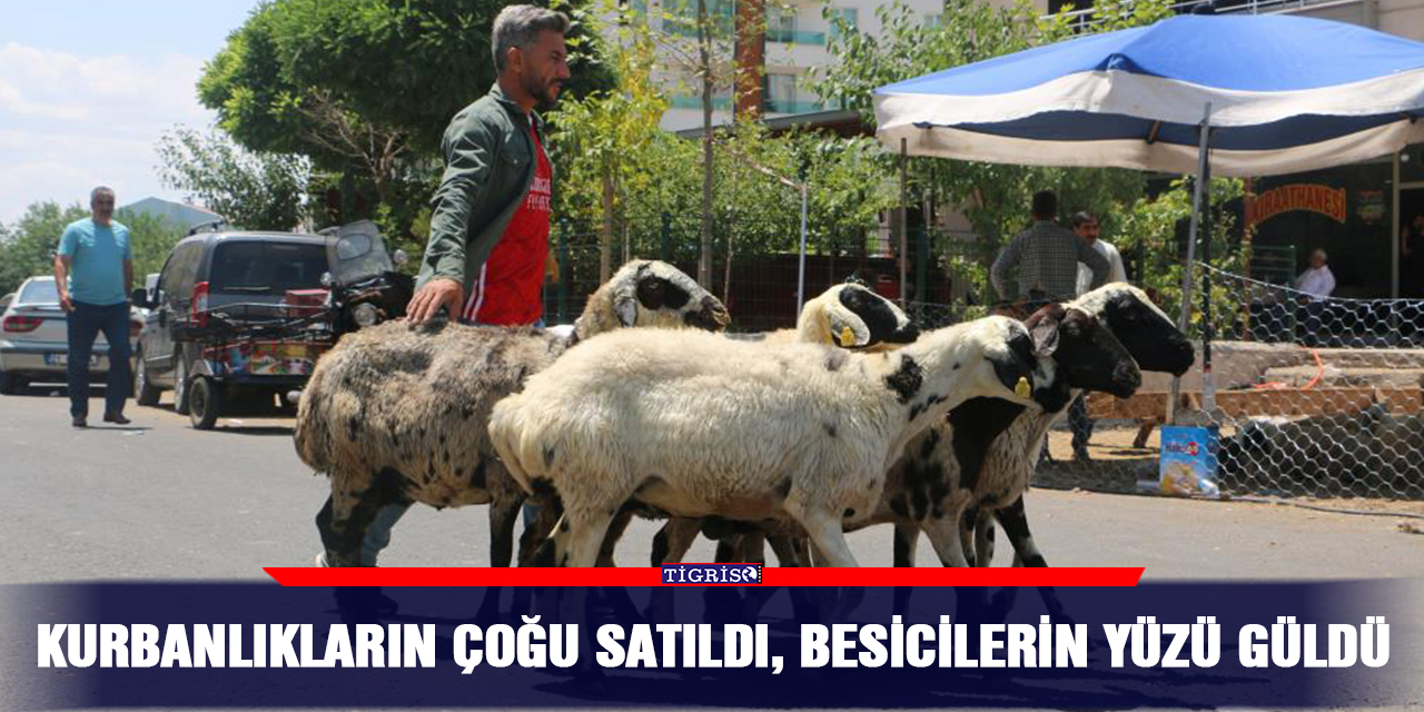 Kurbanlıkların çoğu satıldı, besicilerin yüzü güldü