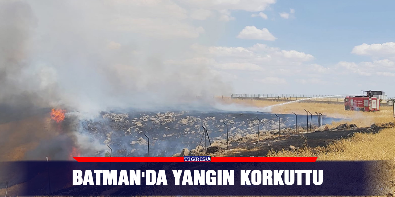 Batman'da yangın korkuttu
