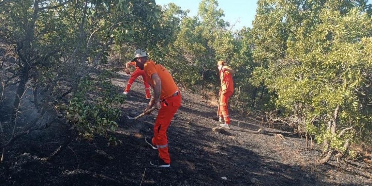 Bingöl’de orman yangını