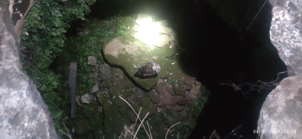 Yavru kartalı kuyudan kurtardılar