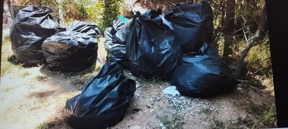 Beyazsu’da çevre temizliği