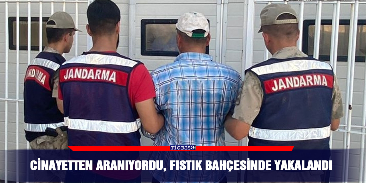 Cinayetten aranıyordu, fıstık bahçesinde yakalandı